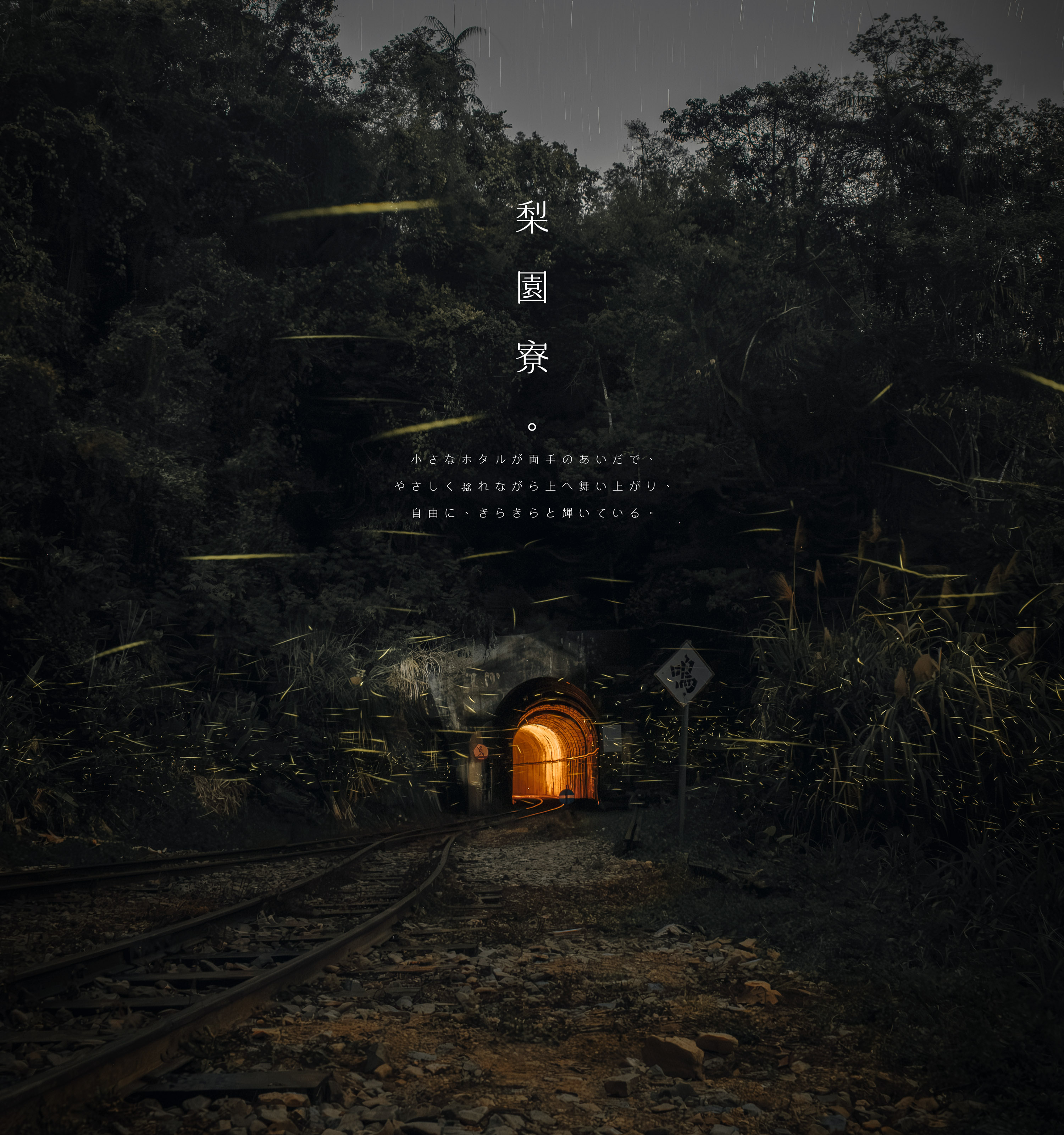  Photography is only
a lonely past process,
but I enjoy it.