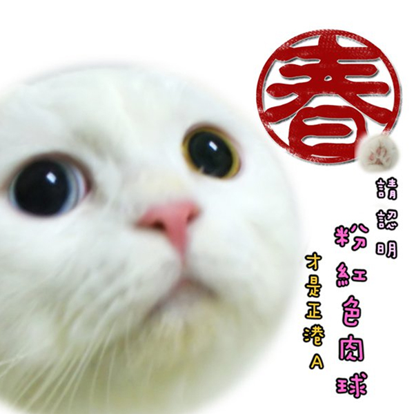 合作夥伴-阿春仔in台南
